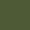 Cargo Green color swatch