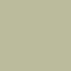 Olive color swatch